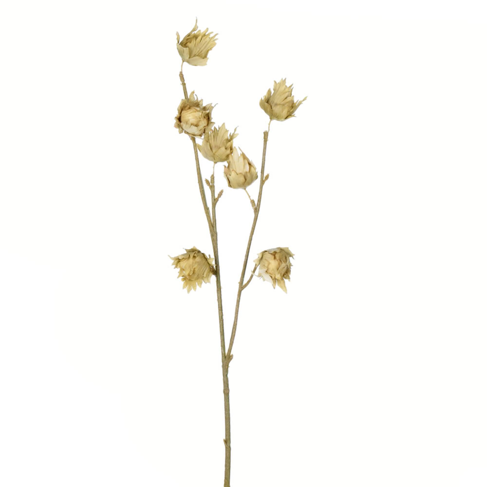 Green Hibiscus Spray, 3ct.